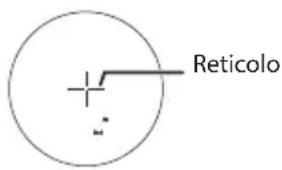 Reticolo