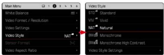 Main Menu White Balance Video Format / Resolution Video Settings Video Style NAT Sensor Format Video Aspect Ratio Video Style STD Standard VIV Vivid NAT Natural BW Monochrome BW Monochrome High Contrast Video Style Settings