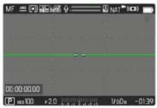 MF 00:00:00:00 P 100 +2.0 1/60s -0139