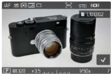 LEICA SL2 - IMAGE SELECTION - 1