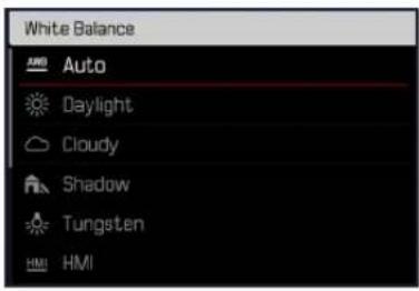 White Balance Auto Daylight Cloudy Shadow Tungsten HMI