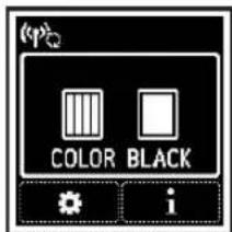 COLOR BLACK