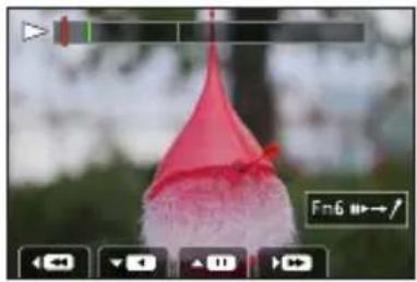 LEICA V-LUX 5 - Touch [☐] to save the picture - 9