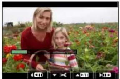 LEICA V-LUX 5 - [Video Divide] - 1