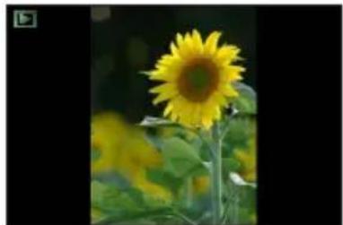 LEICA V-LUX 5 - Orientation detection - 1