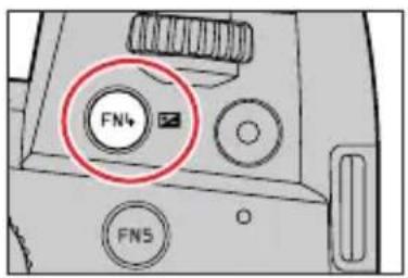 FN FNS