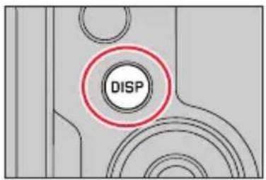 DISP