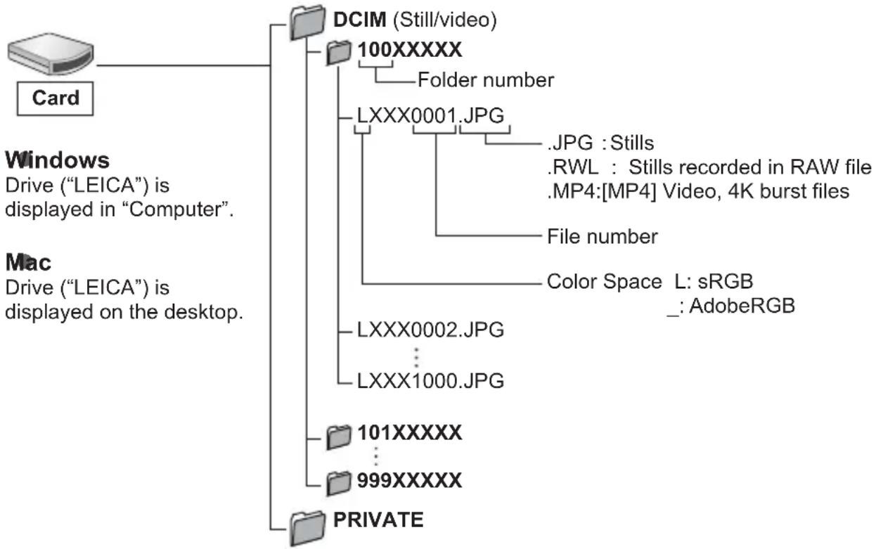 LEICA V-LUX 5 - Copying to your computer without using software - 1