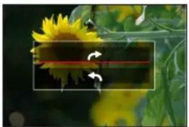 LEICA V-LUX 5 - MENU → [Playback] → [Rotate] - 1