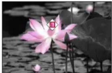 LEICA V-LUX 5 - Selecting the color to be retained ([One Point Color]) - 1