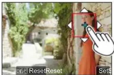 DLS ResetReset Sets