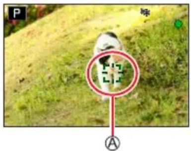 LEICA V-LUX 5 - Ⓐ AF Tracking area - 1