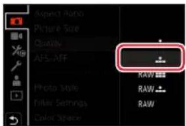 Aspect Ratio Picture Size Quality AFS-AFF Proto Style Filter Settings Color Space RAW RAW RAW