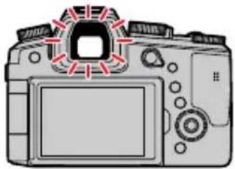 LEICA V-LUX 5 - Press the [EVF] button - 3