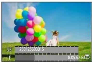LEICA V-LUX 5 - Defocusing the background (Defocus control function) - 1