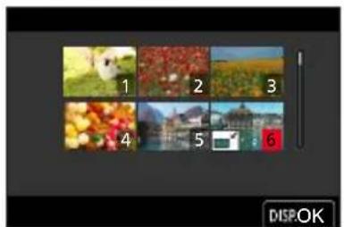 LEICA V-LUX 5 - [Multi] (up to 100 pictures) - 2