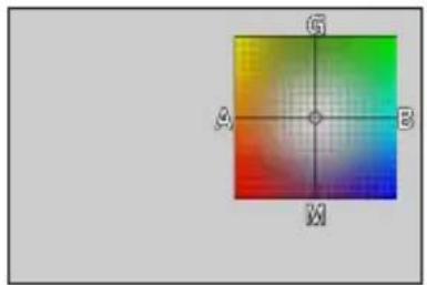 LEICA V-LUX 5 - Performing White Balance fine adjustments - 1