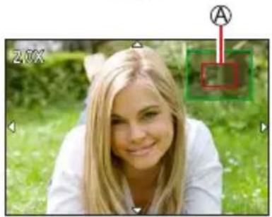 LEICA V-LUX 5 - Move the zoom lever toward T side - 5