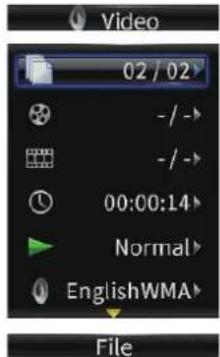 Video 02 / 02 - / - - / - 00:00:14 Normal EnglishWMA File