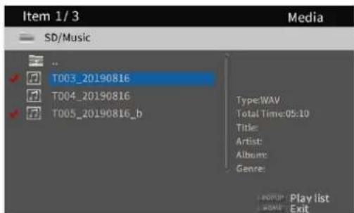 Item 1/3 Media SD/Music T003_20190816 T004_20190816 T005_20190816_b Type:WAV Total Time:05:10 Title: Artist: Album: Genre: Play list Exit
