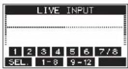 TASCAM Model 12 - Pantalla LIVE INPUT - 1