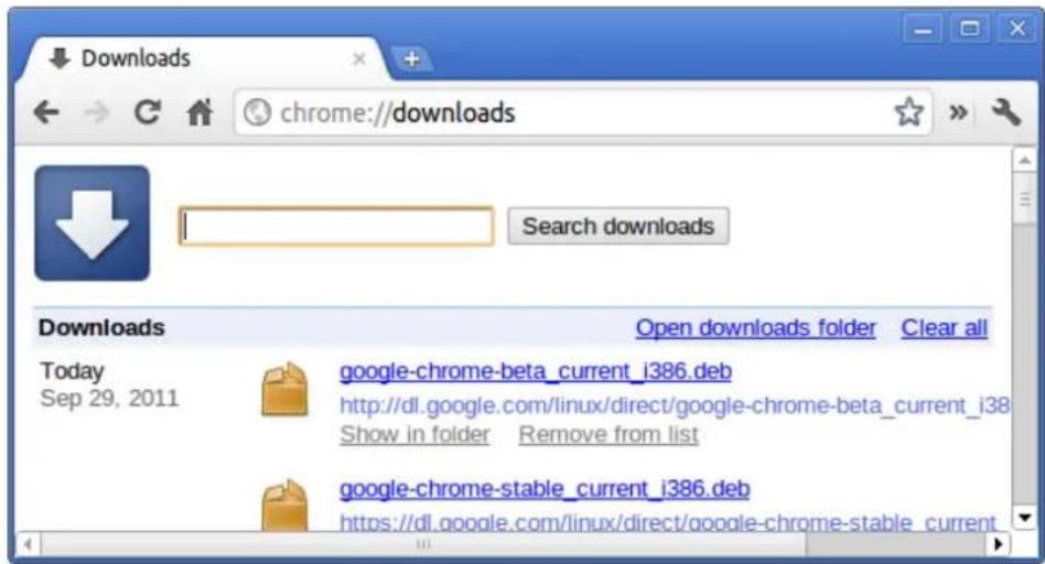 DELL Chromebook 3100 - List of Chrome URLs - 2