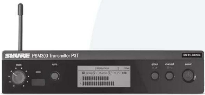 SHURE P3R - 1