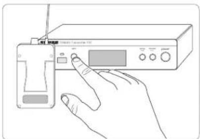 SHURE P3R - Sincronizzazione da trasmettitore a ricevitori: - 2
