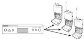 SHURE P3R - Trasmettitore singolo e ricevitori multipli - 1