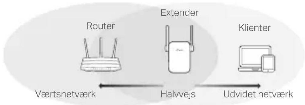 TP-LINK RE605X - Flyt - 1