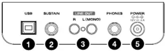 USB SUSTAIN LINE OUT R L(MONO) PHONES POWER 12V 2.4A 2 3 4 5