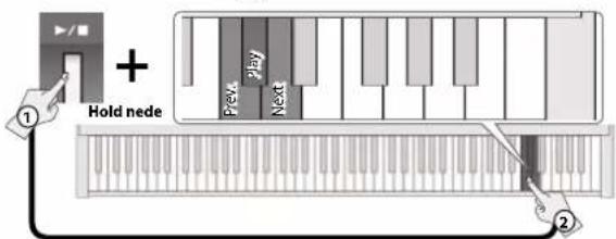 ROLAND FP-30 - Afspille en sang fra USB - 1