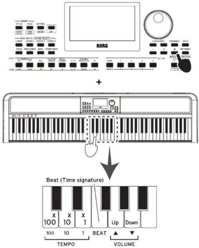 KORG + Beat (Time signature) 100 X 10 X 1 100 10 1 BEAT Up Down TEMPO VOLUME