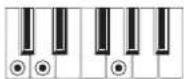 KORG XE20 - List of chords recognized - 10