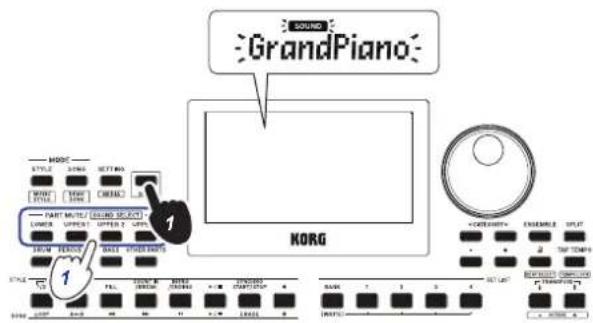 SOUND GrandPiano KORG PART MULTICEL SOUND SELECT LUMBER OFFICE OFFICE 2.5 MPa 1 1 STYLE STOCK RANGE FLOOR MOUNTING ORDER CONTENTS TAX LIME 10000000000000000000000000000000000000000000000000000000000000000000000000000000000000000000000000000