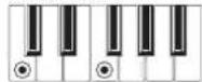 KORG XE20 - List of chords recognized - 9