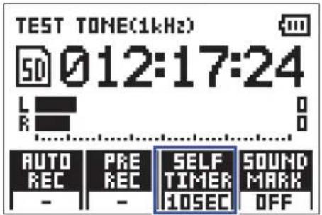 TEST TONE(1kHz) 50 012:17:24 L R AUTO REC PRE REC SELF TIMER 10SEC SOUND MARK OFF