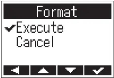 Format ✓ Execute Cancel