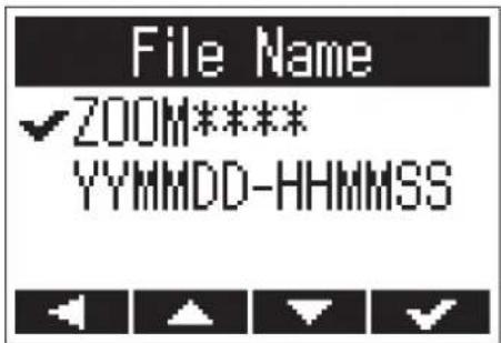 File Name ✓ZOOM**** YYMMDD-HHMMSS