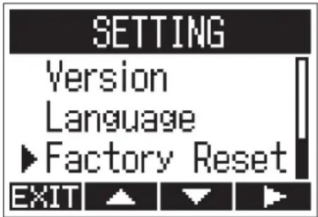 SETTING Version Language ►Factory Reset EXIT