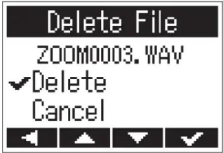 Delete File ZOOM0003.WAV ✓Delete Cancel
