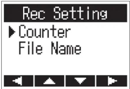 Rec Setting ► Counter File Name
