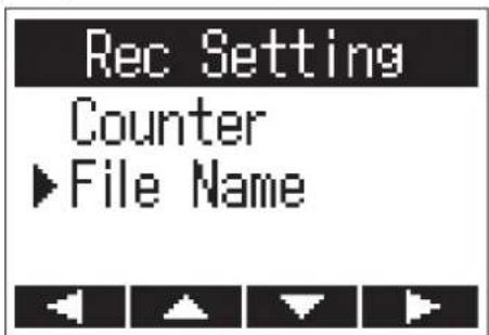 Rec Setting Counter ►File Name