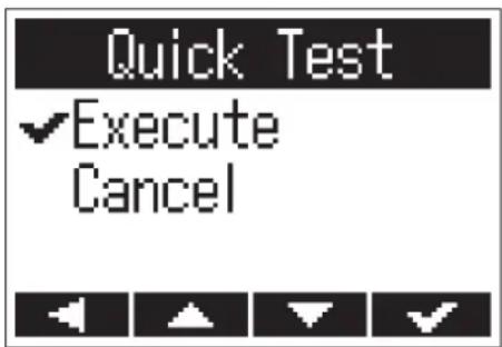 Quick Test ✓Execute Cancel