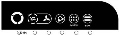 123456 CARBON BEPA