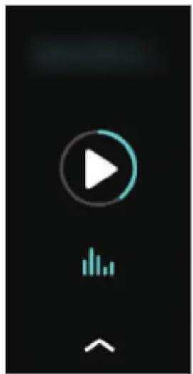 SAMSUNG Galaxy Fit 2 - Musik - 1