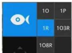 1O 1P 1R 103R 108R