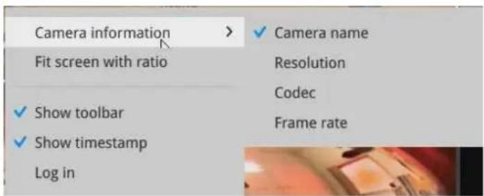 Camera information Fit screen with ratio ✓ Show toolbar ✓ Show timestamp Log in ✓ Camera name Resolution Codec Frame rate
