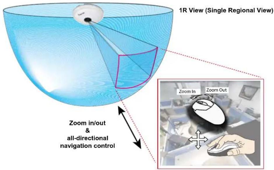 1R View (Single Regional View) Zoom in/out & all-directional navigation control Zoom In Zoom Out