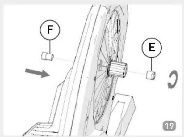 F E 19